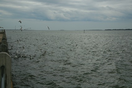 Charleston Bay