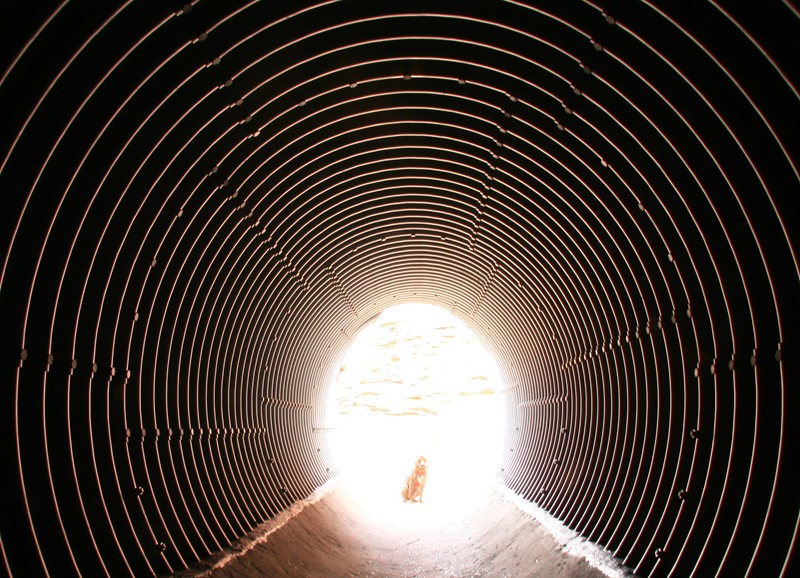 Spirit and the tunnel