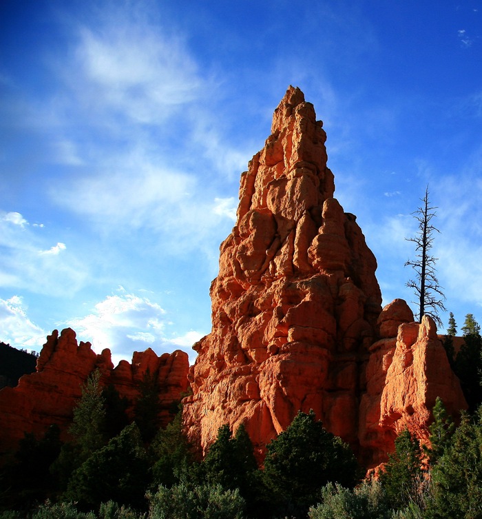 red canyon 8