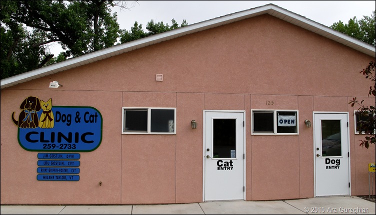 Dog and Cat Clinic