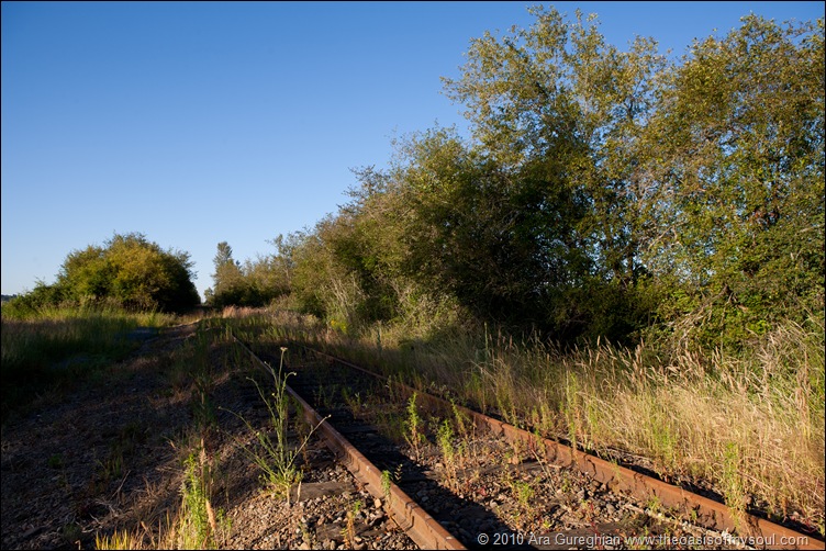 unused railroad tracks