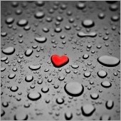 rain heart