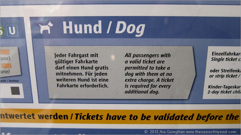 Dogs on Public transportation xxx