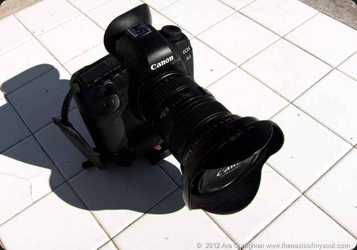 Canon 5D Mark II-2