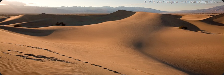 Death Valley-2 xxx