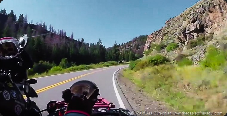 Colorado riding-10 x
