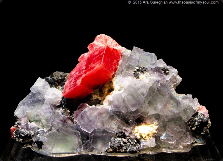 Mineral Treasures-13 x