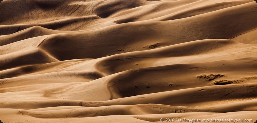 Sand Dunes National Monument [CO]-6 xxx