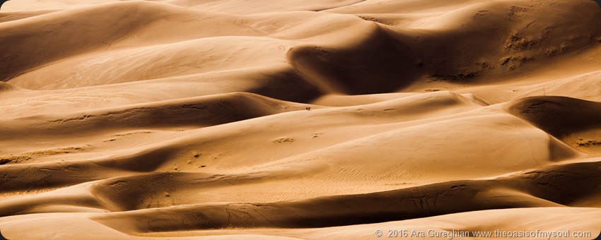 Sand Dunes National Monument [CO]-7 xxx
