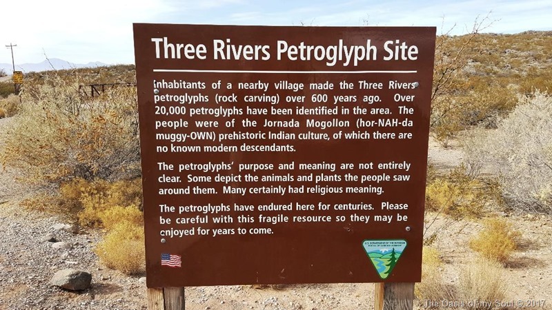 Three Rivers Petroglyphs 8